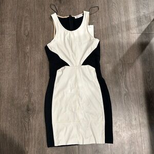Zara Bodycon Faux Leather Dress